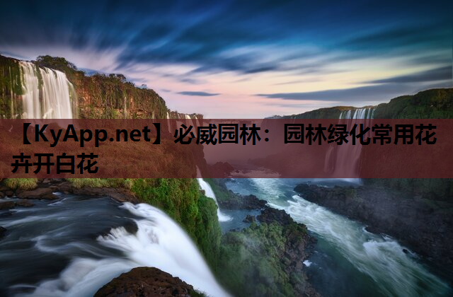 必威园林：园林绿化常用花卉开白花