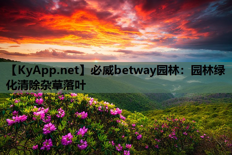 必威betway园林：园林绿化清除杂草落叶