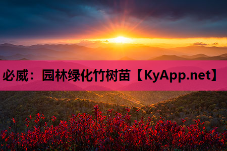 园林绿化竹树苗