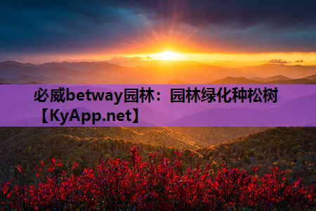 园林绿化种松树