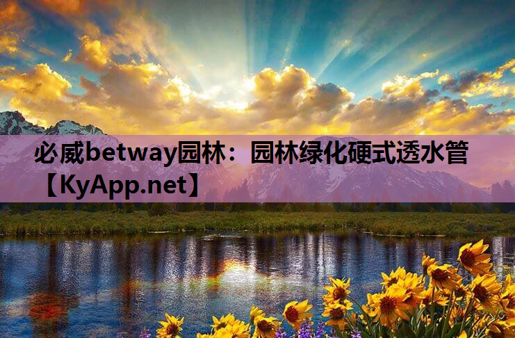 园林绿化硬式透水管