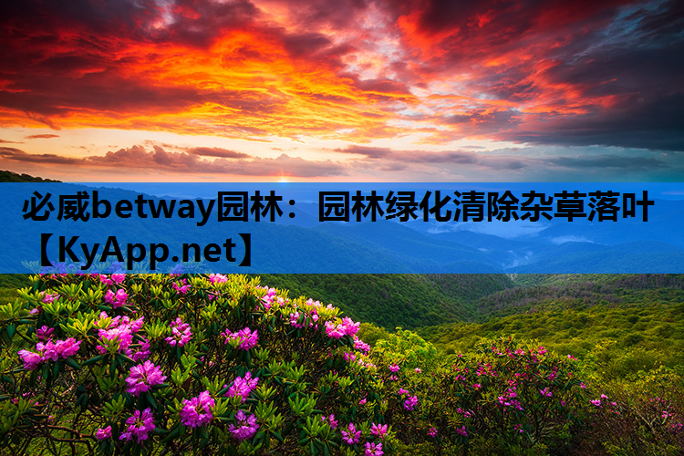园林绿化清除杂草落叶
